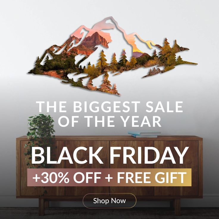 THE BIGGEST SALE OF THE YEAR - BLACK FRIDAY