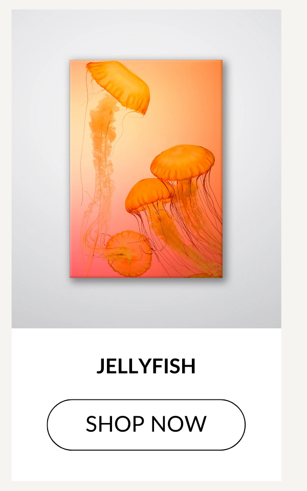 JELLYFISH - SHOP NOW >