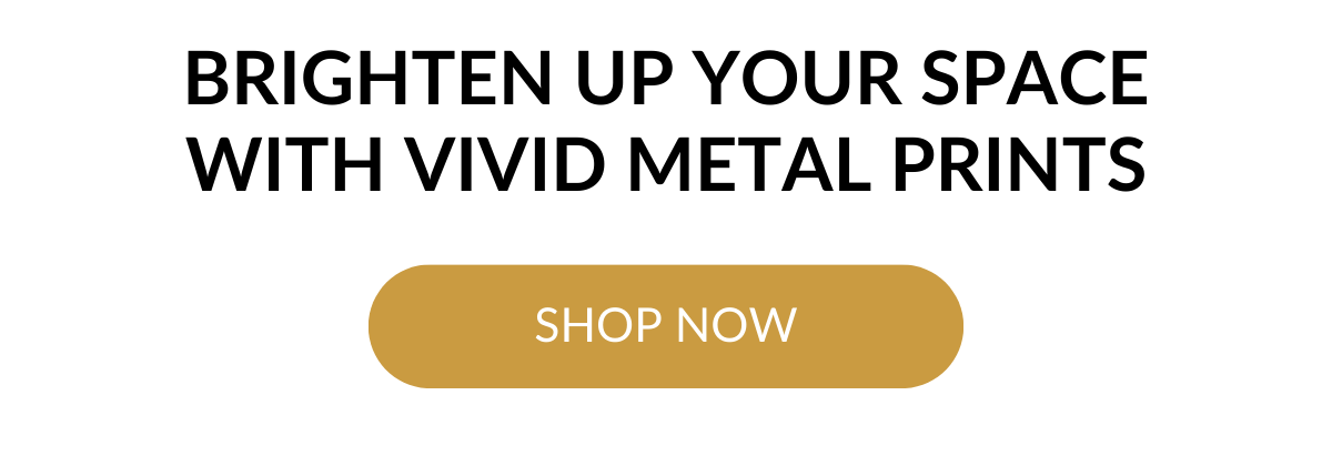 SHOP NOW >
