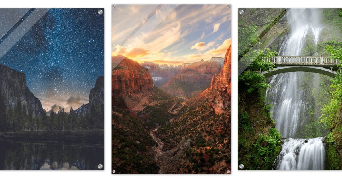 BRIGHTEN UP YOUR SPACE WITH VIVID METAL PRINTS
