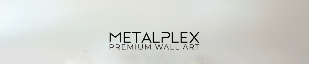 MetalPlex logo