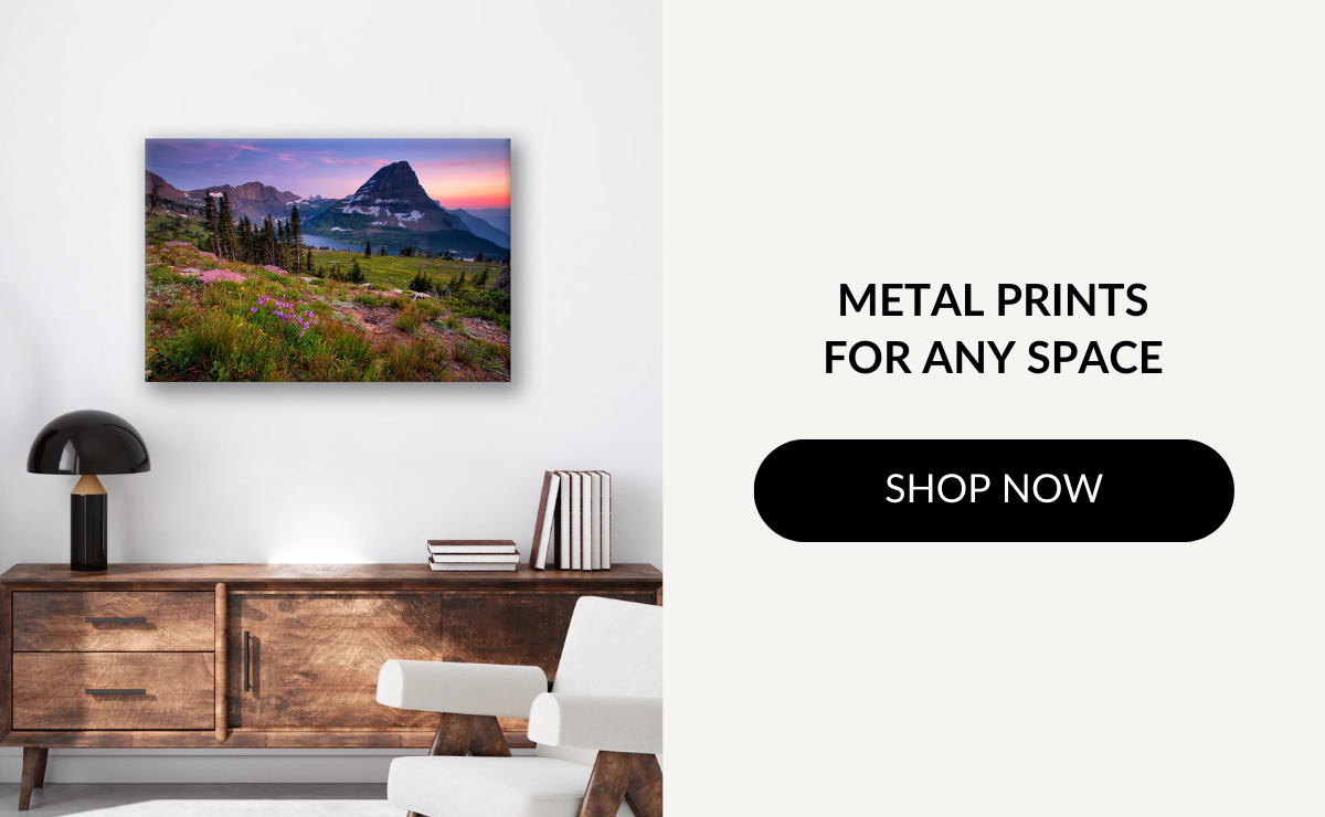 Metal Prints For Any Space - Shop Now >